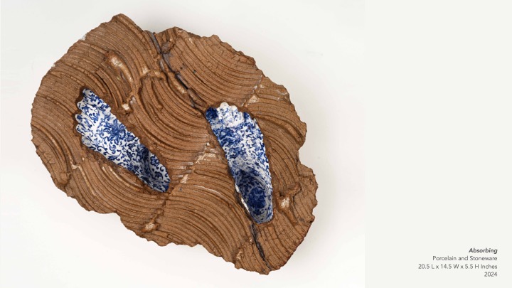 china diaries Absorbing